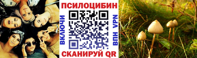 Галлюциногенные грибы MAGIC MUSHROOMS  Воткинск 