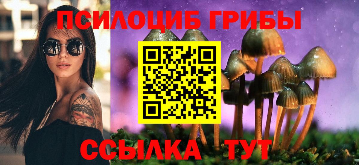 Воткинск  Псилоцибиновые грибы GOLDEN TEACHER  Галлюциногенные грибы прущие грибы  Вход с VPN 